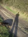 Podzimní cesta Švestkovka se stíny osoby a psa